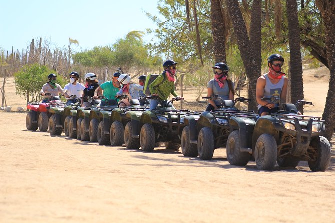 Los Cabos ATV and Pacific Horseback Riding Combo Tour - Why the ranch’s rescue work adds value