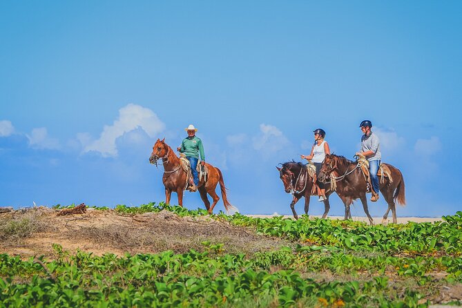 Los Cabos Combo: ATV + Horseback Riding - What happens after the riding