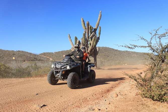 Los Cabos - COMBO Horseback Riding & ATV Tour - Buffet food, drinks, and the tequila stop