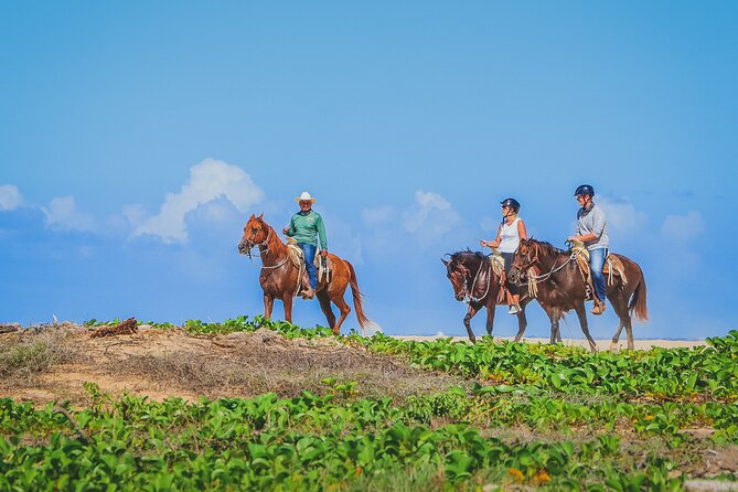 Los Cabos Horseback Riding - Playa Migrino and the coastal payoff