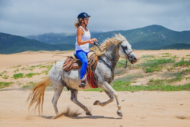 Los Cabos Horseback Riding - Heat, clothing, and riding limits