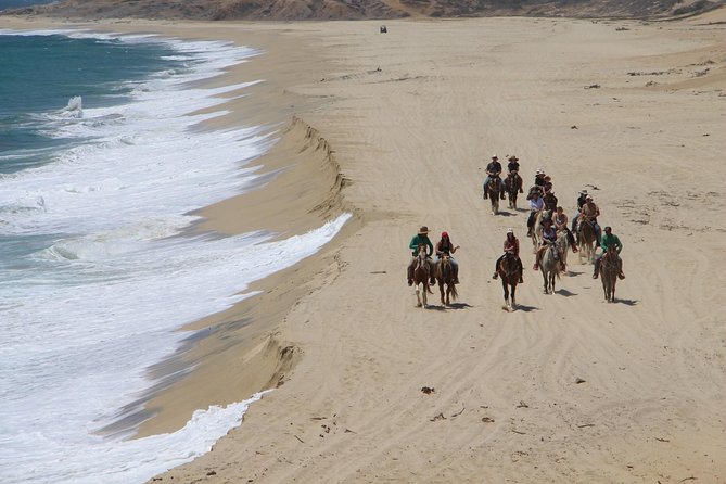 Los Cabos Horseback Riding - Animal care and the quality of the experience