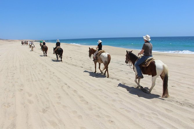 Los Cabos Horseback Riding - The best match for this horseback ride