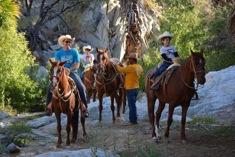 Los Cabos: Horseback Riding in Canyon a Mexican Experience - The hanging bridge adds a quick burst of excitement
