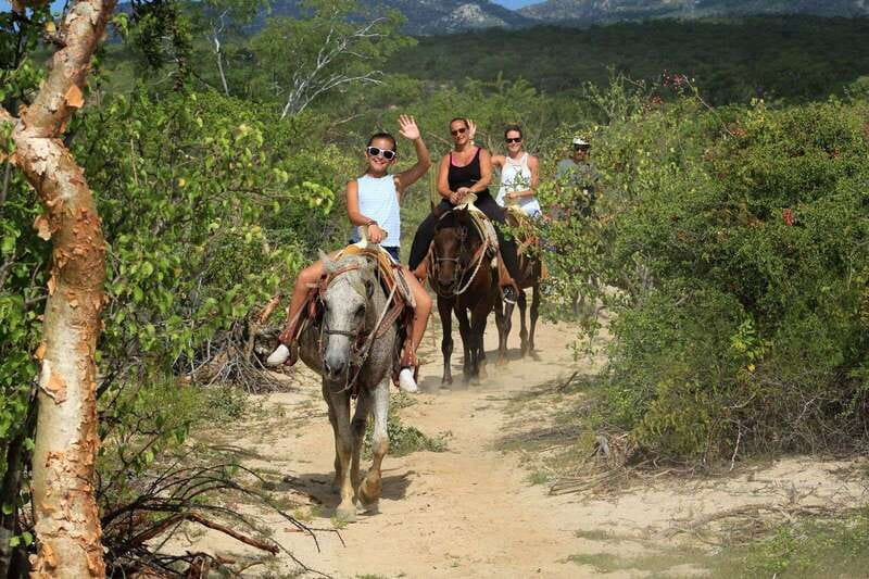 Los Cabos: Horseback Riding in Canyon a Mexican Experience - The animal sanctuary is the family favorite