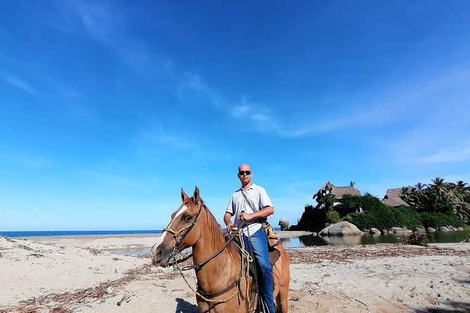 Los Naranjos Beach Horseback Riding Tayrona Park. - Key points to know before you book