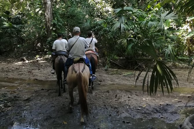 Los Naranjos Beach Horseback Riding Tayrona Park. - A forest ride near Tayrona Park