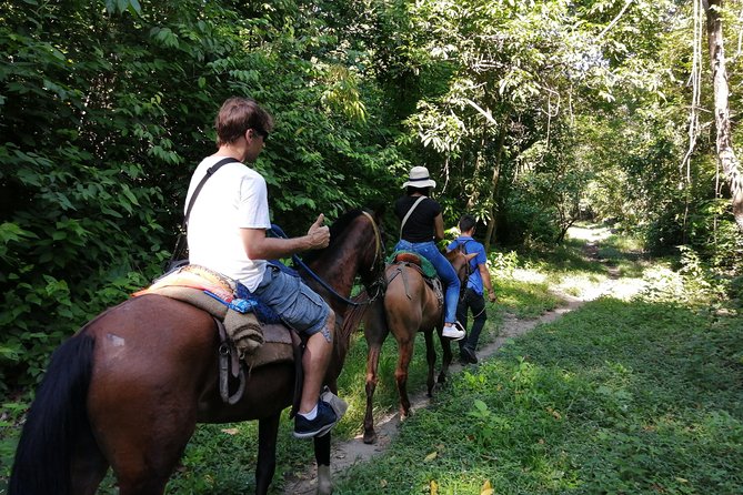 Los Naranjos Beach Horseback Riding Tayrona Park. - What the horse ride feels like