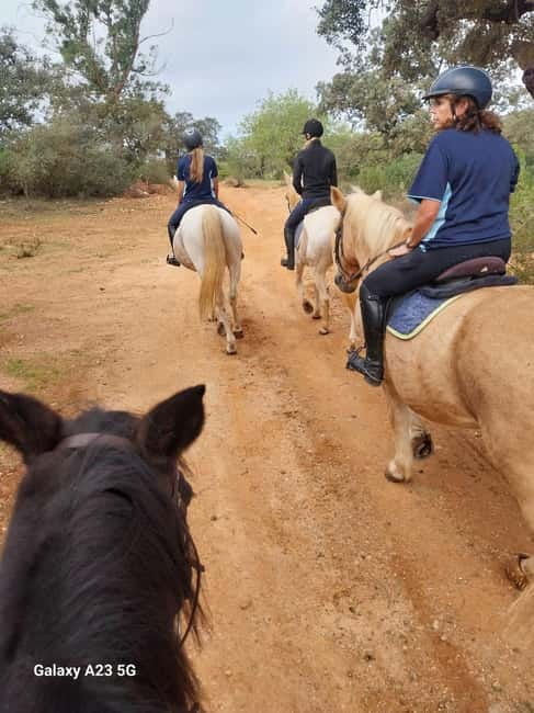 Loulé: Guided Horse Riding in the Hills of salir - Meeting the Horses and Getting Ready
