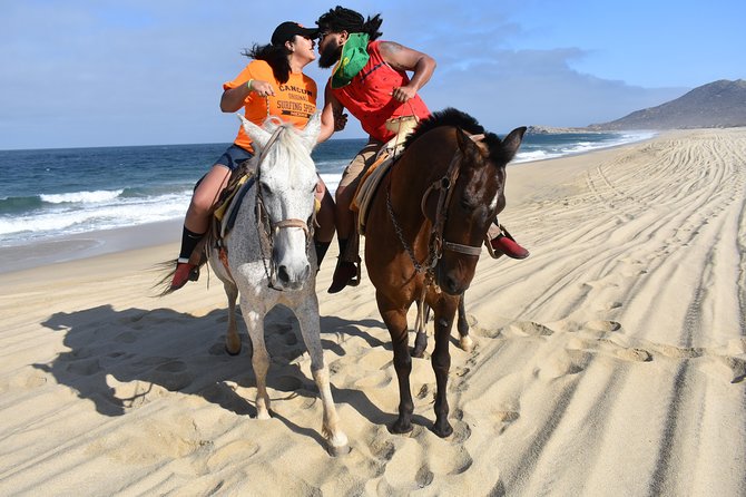 Love is in the air: Private Cabo Beach Sunset Horse Ride W Dinner - Why this Cabo horseback ride feels different