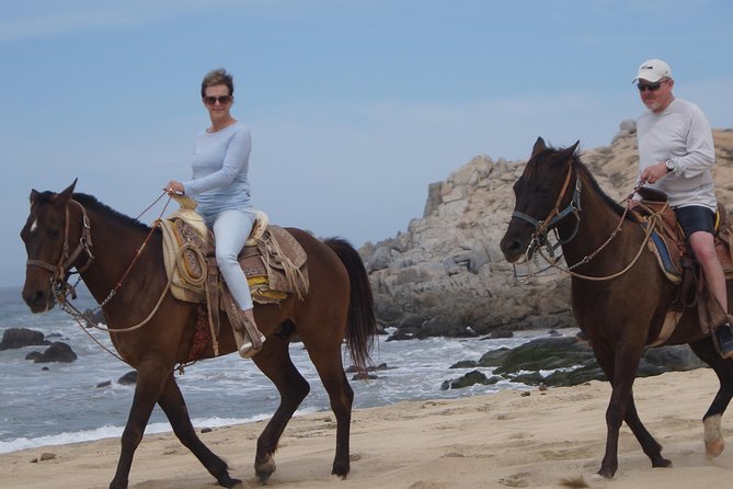 Love is in the air: Private Cabo Beach Sunset Horse Ride W Dinner - Who will get the most from this experience?