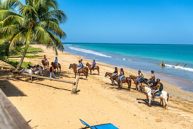 Luquillo Beach Horse Ride from Carabalí Rainforest Adventure Park - The Mameyes River adds the best cooling break