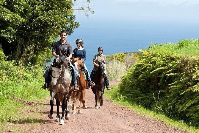 Lusitano Trail - Horseback riding for beginners - Riding through Cedros meadows