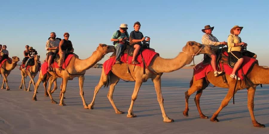 Luxor: Scenic Camel or Horse Ride - Key points to know before booking