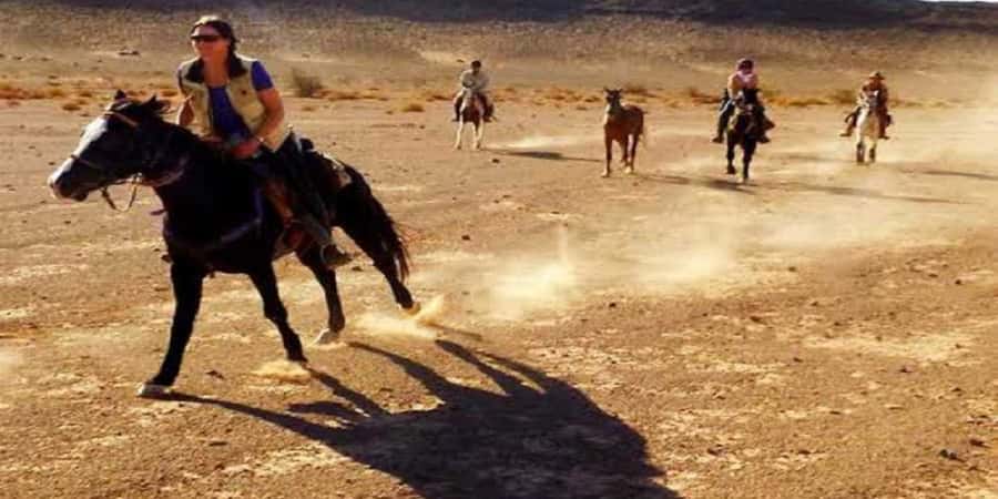 Luxor: Scenic Camel or Horse Ride - Practical advice for a smoother outing