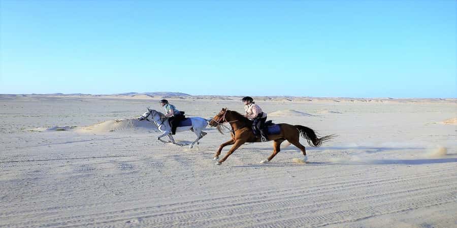 Luxor: Scenic Camel or Horse Ride - The Nile crossing and the transport weak spot