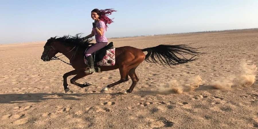 Luxor: Scenic Camel or Horse Ride - Animal care and the quality of the handlers