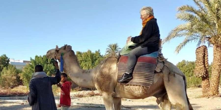 Luxor: Scenic Camel or Horse Ride - What the 90-minute schedule really includes