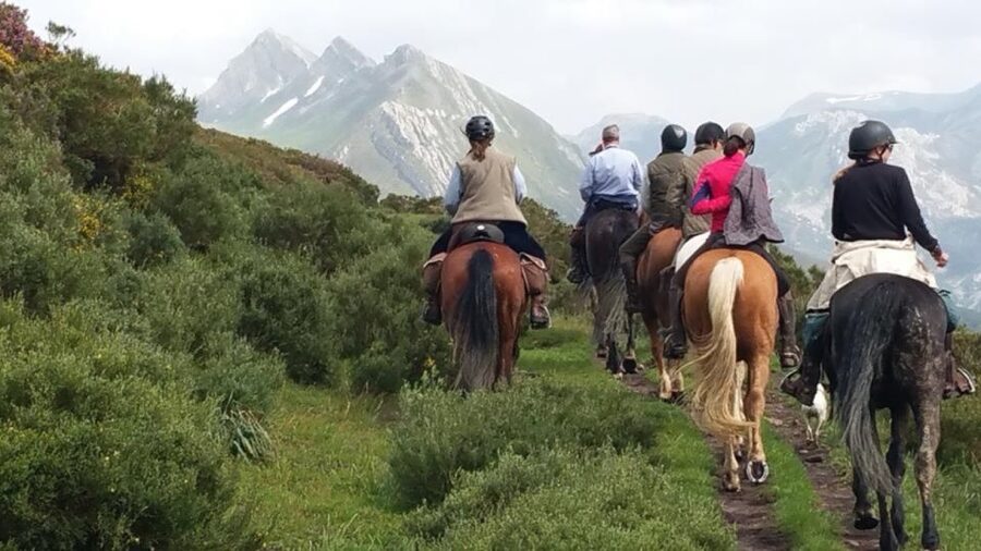 Madrid: Horse Riding in Sierra del Guadarrama National Park - Key points before you saddle up