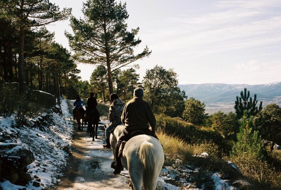 Madrid: Horse Riding in Sierra del Guadarrama National Park - What the guide adds to the experience