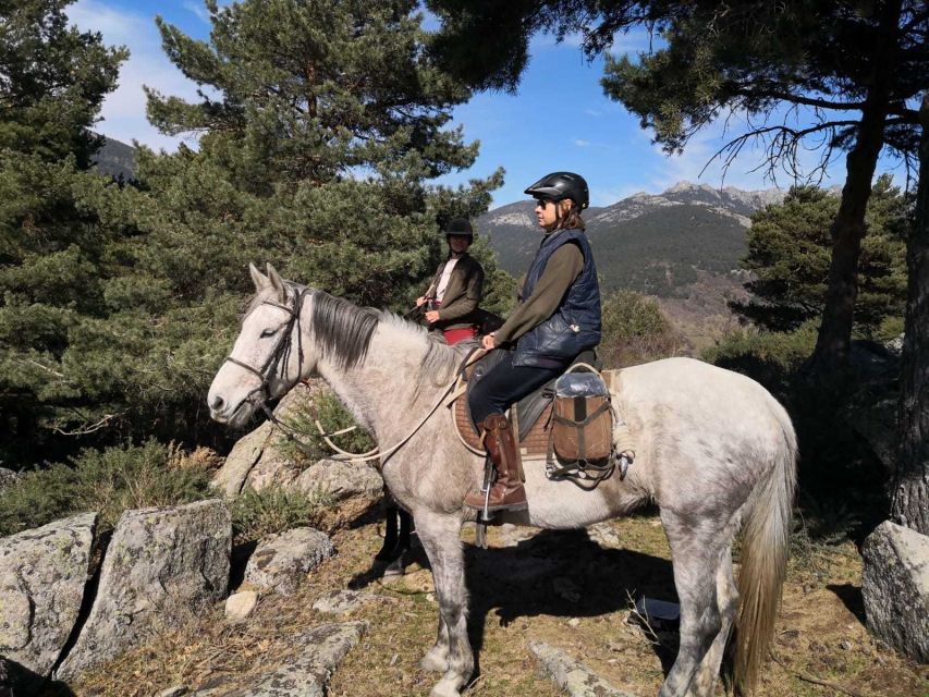 Madrid: Horse Riding in Sierra del Guadarrama National Park - Is $88 good value?
