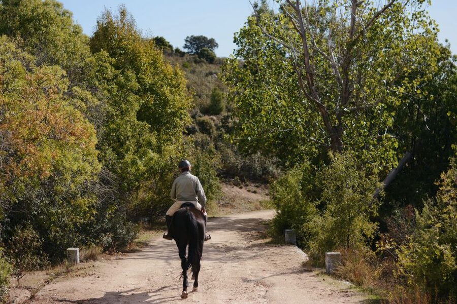 Madrid: Horse Riding in Sierra del Guadarrama National Park - The best kind of Madrid side trip