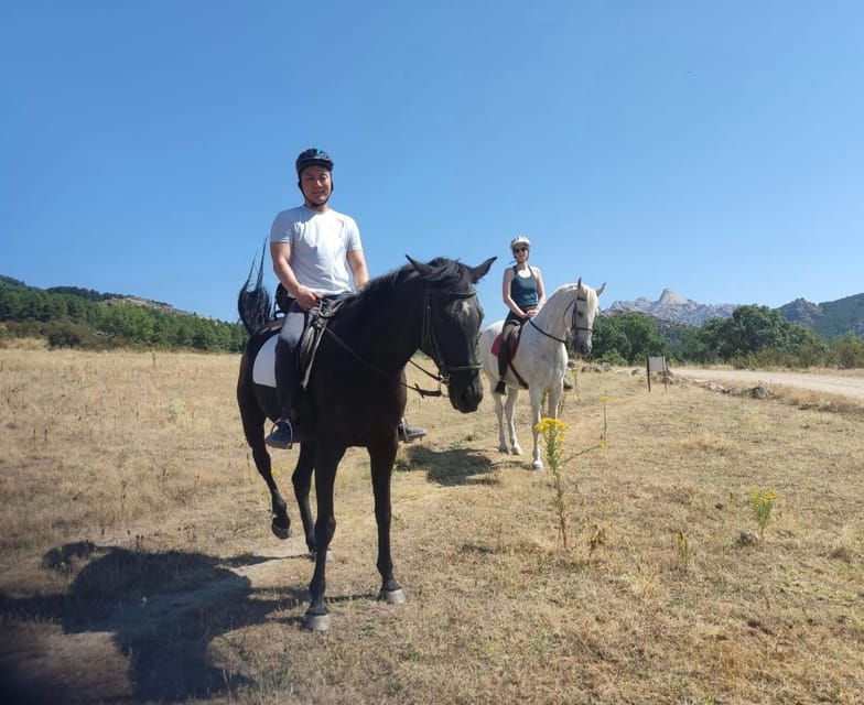 Madrid: Private Horseback Riding in Pedriza NP & Transport - Meeting the Horses at the Foothill Stable