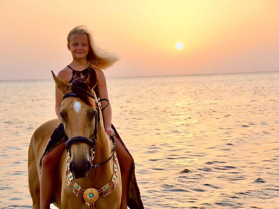 Makadi Bay: Horse Riding in Desert & Sea w Guide + Transfers - Key points to know before booking