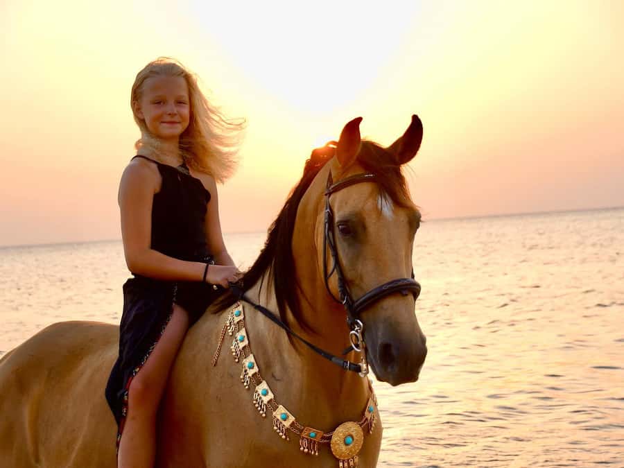 Makadi Bay: Horse Riding in Desert & Sea w Guide + Transfers - Should you book the Makadi Bay horse ride?