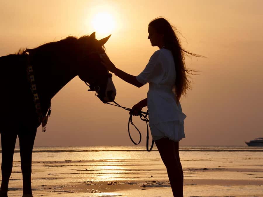 Makadi Bay: Horse Riding in Desert & Sea w Guide + Transfers - Riding from Hurghada toward Makadi Bay