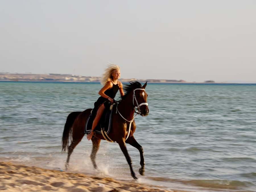 Makadi Bay: Horse Riding in Desert & Sea w Guide + Transfers - Two hours across golden desert sand