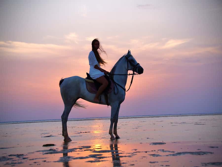 Makadi Bay: Horse Riding in Desert & Sea w Guide + Transfers - Reaching the Red Sea shoreline