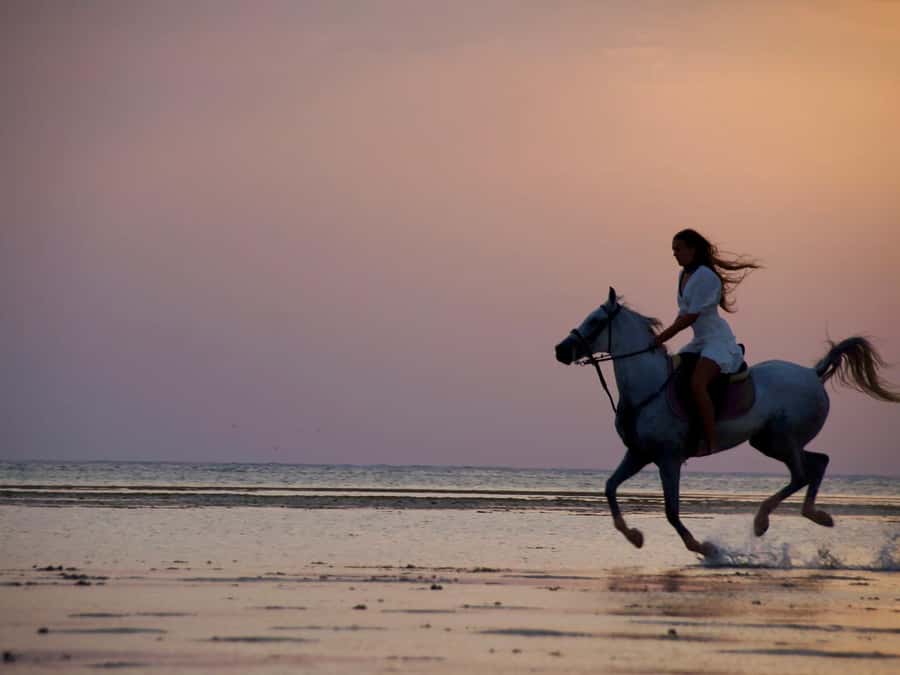 Makadi Bay: Horse Riding in Desert & Sea w Guide + Transfers - Guides who shape the experience