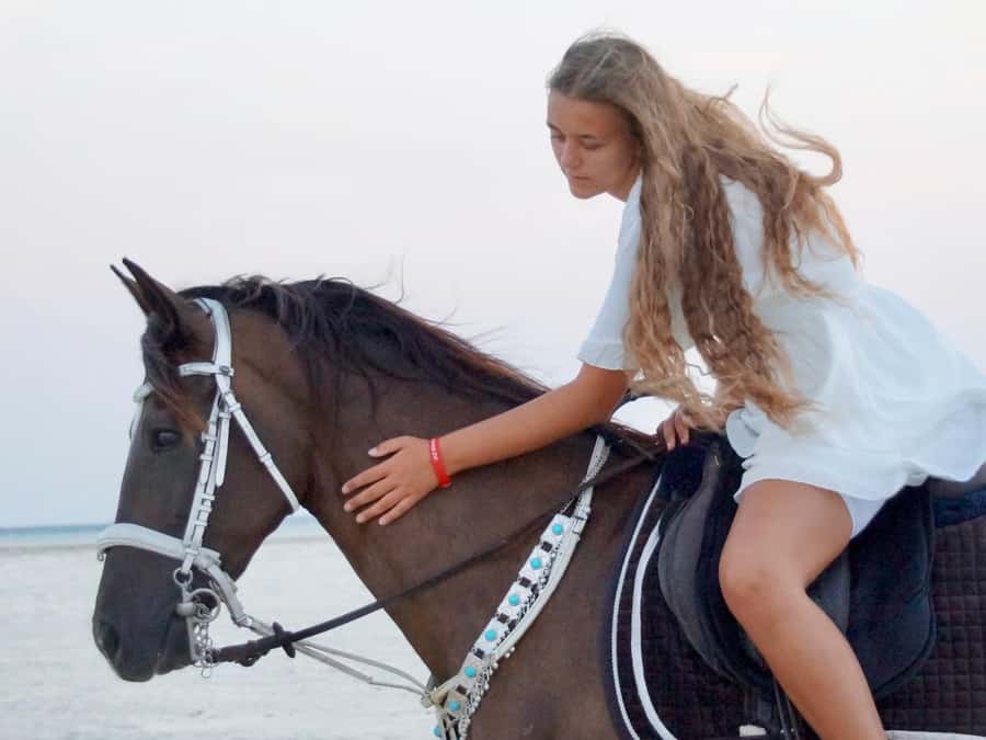 Makadi Bay: Horse Riding in Desert & Sea w Guide + Transfers - Who should book this ride?