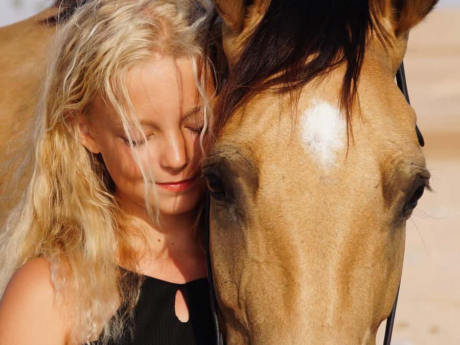 Makadi Bay: Horse Riding in Desert & Sea w Guide + Transfers - Practical details that matter