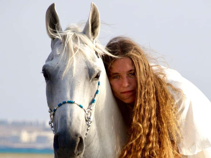 Makadi Bay: Horse Riding in Desert & Sea w Guide + Transfers - Meeting your horse and getting ready