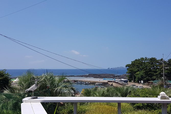 Making Jeju Pony Doll at Peaceful Seaside cafe - The local side of Jeju