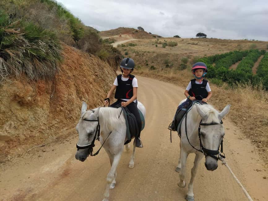 Malaga – 1-hour Horseback Riding Tour with a Local Guide through the Guadalhorce Valley - Key points to know before you book