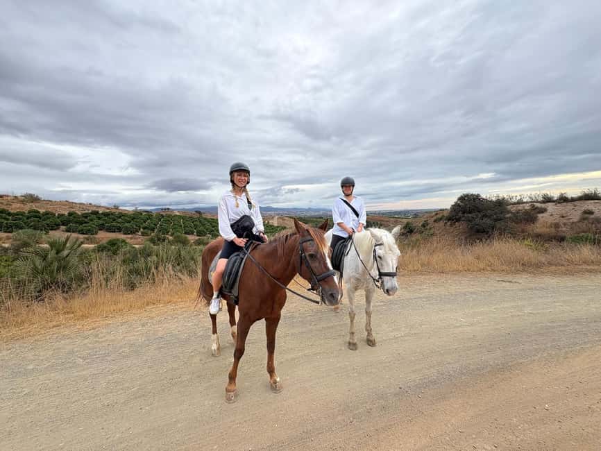 Malaga – 1-hour Horseback Riding Tour with a Local Guide through the Guadalhorce Valley - Price, duration, and what you receive