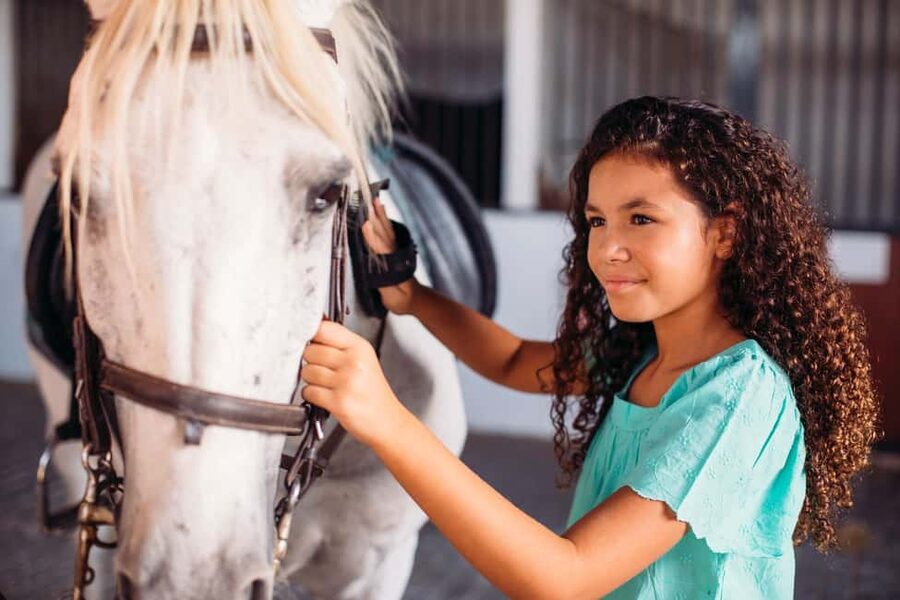 Malaga – 1-hour Horseback Riding Tour with a Local Guide through the Guadalhorce Valley - Meeting your horse and learning the basics