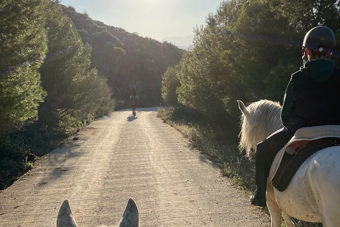 Malaga - guided horseback riding - Key points to know before you book