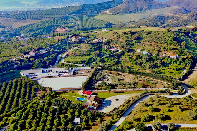 Malaga - guided horseback riding - Along the Cañuelo stream and the Andalusian countryside