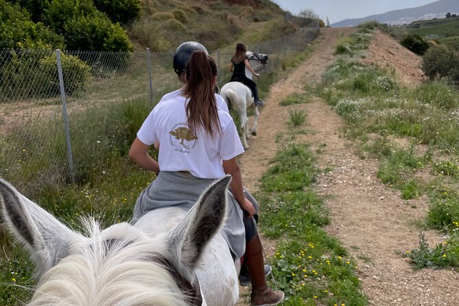 Malaga - guided horseback riding - A good family outing, with a few limits