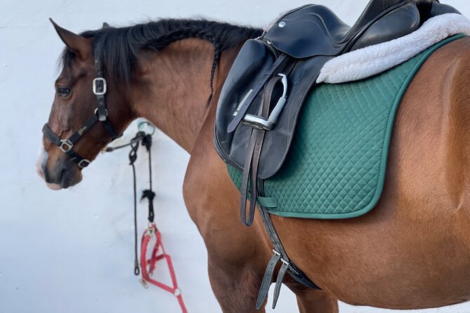 Malaga - guided horseback riding - Is $45.66 good value for one hour?