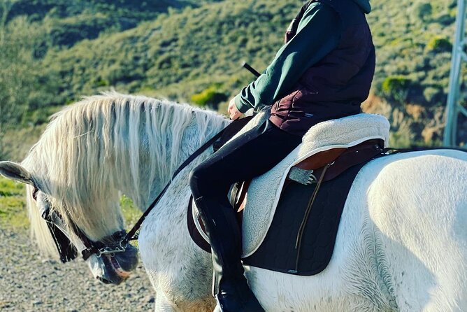 Malaga - guided horseback riding - Weather, cancellation, and practical planning