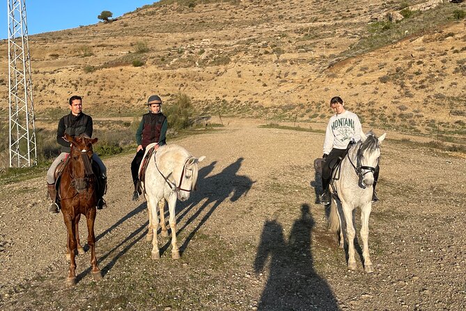 Malaga - guided horseback riding - Choosing a horse for your experience level
