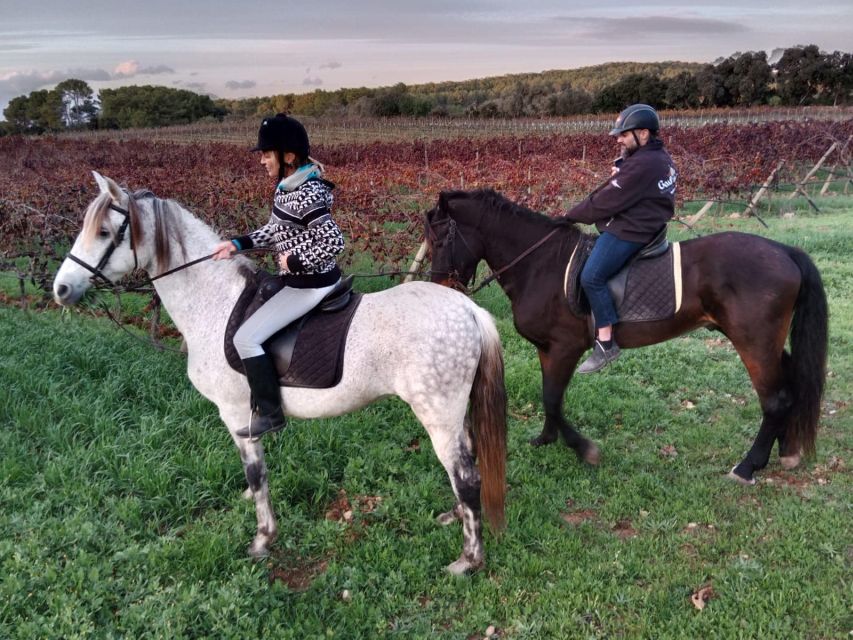 Mallorca: Authentic Horseback Ride in Rural Mallorca - Five things to know before booking