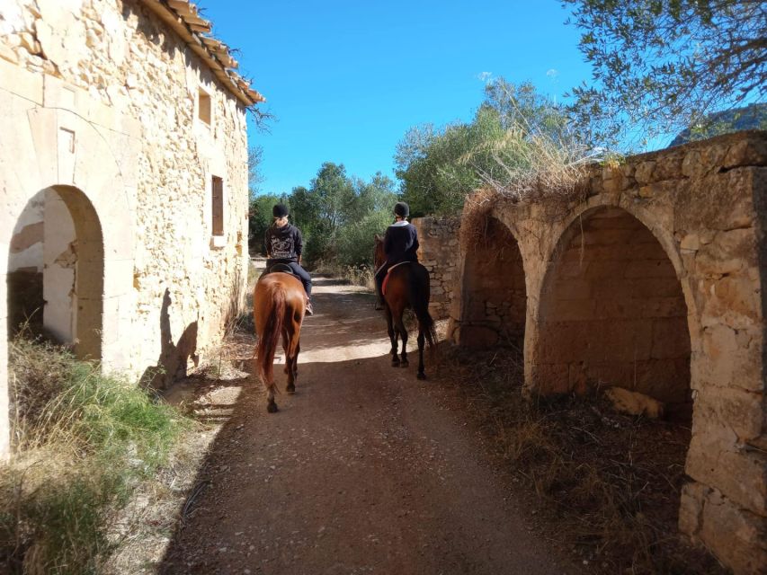 Mallorca: Authentic Horseback Ride in Rural Mallorca - Should you book Antigua Mallorca?