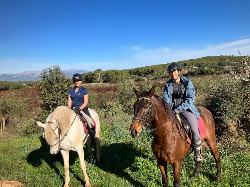 Mallorca: Authentic Horseback Ride in Rural Mallorca - Why this ride feels different from a standard Mallorca outing