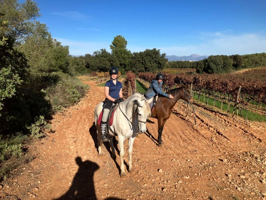 Mallorca: Authentic Horseback Ride in Rural Mallorca - What the faster riding asks of you